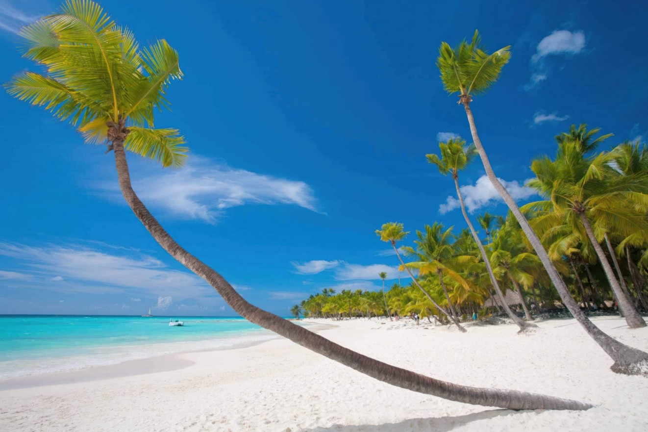 Zanzibar landscape
